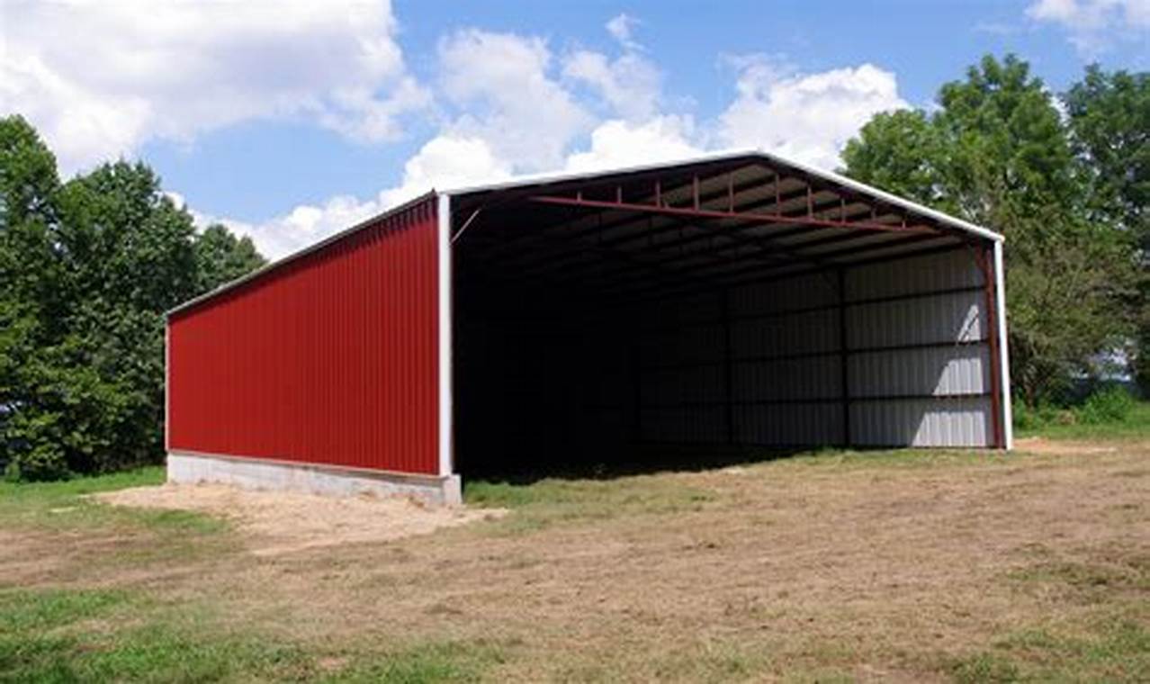 Best DIY Metal Building Kits Online - Easy Build! | The DIY Hub: Creative Crafts, Repairs & Life Hacks