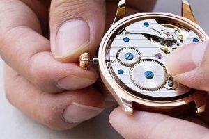 Build Your Dream: DIY Watch Making Kit Guide & Tips | The DIY Hub: Creative Crafts, Repairs & Life Hacks