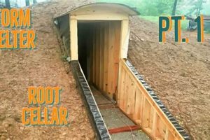 DIY Tornado Shelter Kit Guide: Build Your Safe Room | The DIY Hub: Creative Crafts, Repairs & Life Hacks