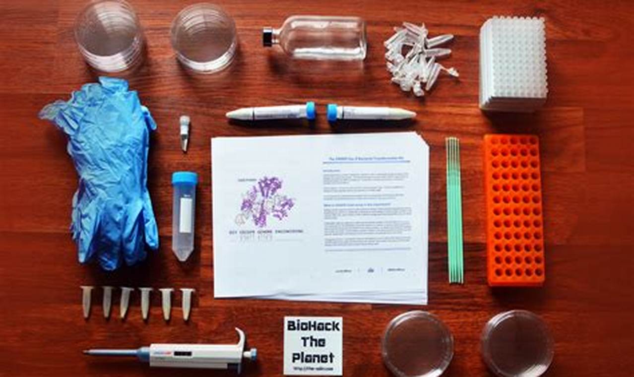 Beginner's DIY CRISPR Kit Guide: Edit Genes Safely! The DIY Hub: Creative Crafts, Repairs & Life Hacks Beginner's DIY CRISPR Kit Guide: Edit Genes Safely! | The DIY Hub: Creative Crafts, Repairs & Life Hacks