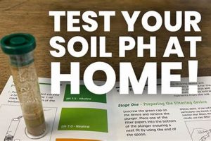 Easy DIY Soil Test Kit: Test Your Soil At Home! The DIY Hub: Creative Crafts, Repairs & Life Hacks Easy DIY Soil Test Kit: Test Your Soil At Home! | The DIY Hub: Creative Crafts, Repairs & Life Hacks
