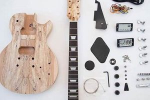 Build Your Dream: Les Paul DIY Kit Creations! | The DIY Hub: Creative Crafts, Repairs & Life Hacks