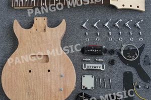 Build Your Dream: DIY LP Guitar Kit Project! | The DIY Hub: Creative Crafts, Repairs & Life Hacks