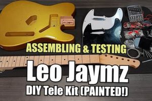 Build Your Dream Tele: DIY Tele Kit Guide | The DIY Hub: Creative Crafts, Repairs & Life Hacks