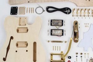 Build Your Own: DIY Telecaster Kit Guide & Tips | The DIY Hub: Creative Crafts, Repairs & Life Hacks