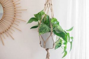 Easy DIY Plant Hanger Ideas + Tutorials for Beginners The DIY Hub: Creative Crafts, Repairs & Life Hacks Easy DIY Plant Hanger Ideas + Tutorials for Beginners | The DIY Hub: Creative Crafts, Repairs & Life Hacks