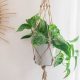 Easy DIY Plant Hanger Ideas + Tutorials for Beginners | The DIY Hub: Creative Crafts, Repairs & Life Hacks