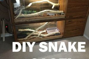 Build a Cheap DIY Snake Enclosure: Easy Reptile Habitat The DIY Hub: Creative Crafts, Repairs & Life Hacks Build a Cheap DIY Snake Enclosure: Easy Reptile Habitat | The DIY Hub: Creative Crafts, Repairs & Life Hacks