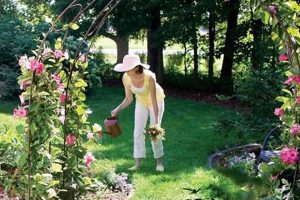 Build Your Own: DIY Arch Ideas & Easy Projects The DIY Hub: Creative Crafts, Repairs & Life Hacks Build Your Own: DIY Arch Ideas & Easy Projects | The DIY Hub: Creative Crafts, Repairs & Life Hacks
