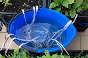 Easy DIY Irrigation System: Save Water & Money! The DIY Hub: Creative Crafts, Repairs & Life Hacks Easy DIY Irrigation System: Save Water & Money! | The DIY Hub: Creative Crafts, Repairs & Life Hacks