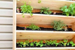 Easy DIY Vertical Garden Ideas: Grow Up, Not Out! The DIY Hub: Creative Crafts, Repairs & Life Hacks Easy DIY Vertical Garden Ideas: Grow Up, Not Out! | The DIY Hub: Creative Crafts, Repairs & Life Hacks