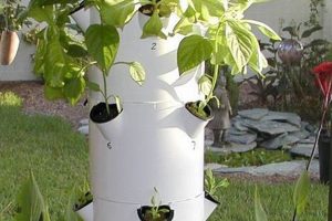 Easy Hydroponic Tower DIY: Build Yours Today! The DIY Hub: Creative Crafts, Repairs & Life Hacks Easy Hydroponic Tower DIY: Build Yours Today! | The DIY Hub: Creative Crafts, Repairs & Life Hacks