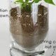 Easy & Smart: Self Watering Planters DIY Guide [2024] | The DIY Hub: Creative Crafts, Repairs & Life Hacks