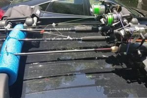Build a DIY Roof Rack Fishing Rod Holder: Easy Plans! The DIY Hub: Creative Crafts, Repairs & Life Hacks Build a DIY Roof Rack Fishing Rod Holder: Easy Plans! | The DIY Hub: Creative Crafts, Repairs & Life Hacks