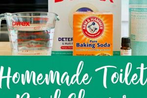 Easy DIY Toilet Bowl Cleaner: Natural & Effective The DIY Hub: Creative Crafts, Repairs & Life Hacks Easy DIY Toilet Bowl Cleaner: Natural & Effective | The DIY Hub: Creative Crafts, Repairs & Life Hacks