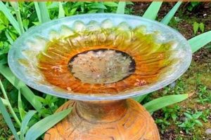 Easy DIY Bird Baths: Build a Backyard Oasis! The DIY Hub: Creative Crafts, Repairs & Life Hacks Easy DIY Bird Baths: Build a Backyard Oasis! | The DIY Hub: Creative Crafts, Repairs & Life Hacks