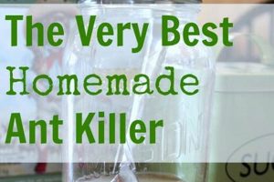 DIY Guide: Best Ant Trap DIY Solutions That Work! The DIY Hub: Creative Crafts, Repairs & Life Hacks DIY Guide: Best Ant Trap DIY Solutions That Work! | The DIY Hub: Creative Crafts, Repairs & Life Hacks