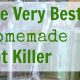 DIY Guide: Best Ant Trap DIY Solutions That Work! | The DIY Hub: Creative Crafts, Repairs & Life Hacks