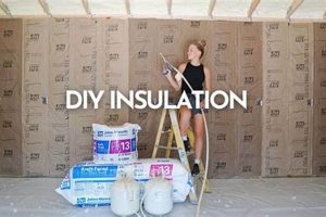 Easy DIY Insulation Foam Kits: [Your Location] & Beyond | The DIY Hub: Creative Crafts, Repairs & Life Hacks