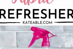 Easy DIY Fabric Refresher Spray: Odor-Busting Scents! The DIY Hub: Creative Crafts, Repairs & Life Hacks Easy DIY Fabric Refresher Spray: Odor-Busting Scents! | The DIY Hub: Creative Crafts, Repairs & Life Hacks