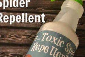 Easy DIY Spider Repellent: Naturally Pest-Free! The DIY Hub: Creative Crafts, Repairs & Life Hacks Easy DIY Spider Repellent: Naturally Pest-Free! | The DIY Hub: Creative Crafts, Repairs & Life Hacks