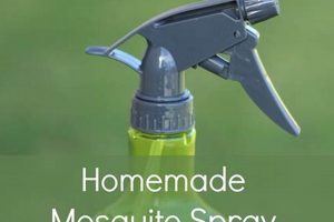 Easy DIY Mosquito Control: Tips & Tricks The DIY Hub: Creative Crafts, Repairs & Life Hacks Easy DIY Mosquito Control: Tips & Tricks | The DIY Hub: Creative Crafts, Repairs & Life Hacks
