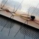 Build Your Own DIY TV Antenna: The Ultimate Guide | The DIY Hub: Creative Crafts, Repairs & Life Hacks