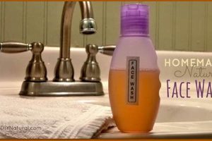 Easy DIY Face Wash Recipes: Natural Cleansing At Home The DIY Hub: Creative Crafts, Repairs & Life Hacks Easy DIY Face Wash Recipes: Natural Cleansing At Home | The DIY Hub: Creative Crafts, Repairs & Life Hacks