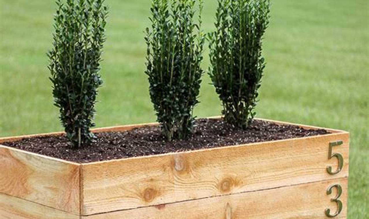 Easy Cedar Planter Box DIY: Build Your Own! The DIY Hub: Creative Crafts, Repairs & Life Hacks Easy Cedar Planter Box DIY: Build Your Own! | The DIY Hub: Creative Crafts, Repairs & Life Hacks