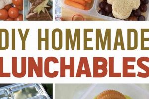 Quick & Easy DIY Lunchables: Fun, Healthy & Frugal The DIY Hub: Creative Crafts, Repairs & Life Hacks Quick & Easy DIY Lunchables: Fun, Healthy & Frugal | The DIY Hub: Creative Crafts, Repairs & Life Hacks