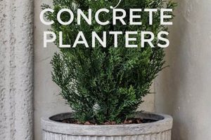 Easy DIY Concrete Planter Ideas: Garden Up! The DIY Hub: Creative Crafts, Repairs & Life Hacks Easy DIY Concrete Planter Ideas: Garden Up! | The DIY Hub: Creative Crafts, Repairs & Life Hacks