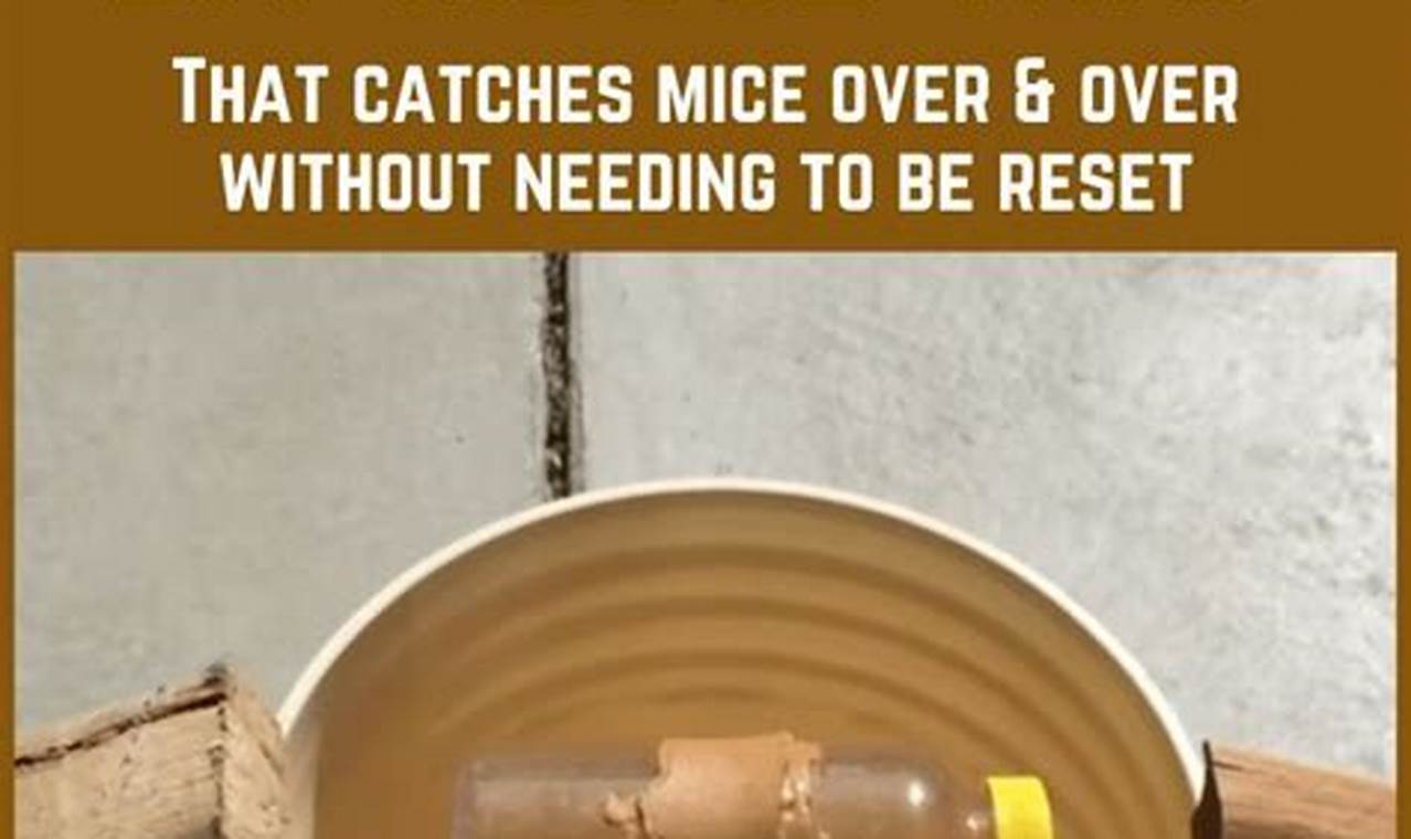 Easy DIY Rodent Trap Guide: Build Your Own!