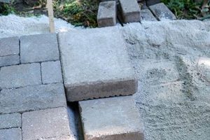 Easy DIY Pavers: Guide & Ideas to Pave It Yourself! The DIY Hub: Creative Crafts, Repairs & Life Hacks Easy DIY Pavers: Guide & Ideas to Pave It Yourself! | The DIY Hub: Creative Crafts, Repairs & Life Hacks