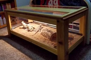 Build a Better DIY Bearded Dragon Enclosure + Tips! The DIY Hub: Creative Crafts, Repairs & Life Hacks Build a Better DIY Bearded Dragon Enclosure + Tips! | The DIY Hub: Creative Crafts, Repairs & Life Hacks