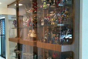 Build Your Own DIY Display Case: Plans & Ideas The DIY Hub: Creative Crafts, Repairs & Life Hacks Build Your Own DIY Display Case: Plans & Ideas | The DIY Hub: Creative Crafts, Repairs & Life Hacks