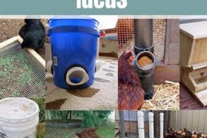 Easy DIY Chook Feeder Plans: Save Money & Build Now! The DIY Hub: Creative Crafts, Repairs & Life Hacks Easy DIY Chook Feeder Plans: Save Money & Build Now! | The DIY Hub: Creative Crafts, Repairs & Life Hacks