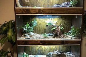 Build Your Own: DIY Reptile Enclosure Project Ideas The DIY Hub: Creative Crafts, Repairs & Life Hacks Build Your Own: DIY Reptile Enclosure Project Ideas | The DIY Hub: Creative Crafts, Repairs & Life Hacks