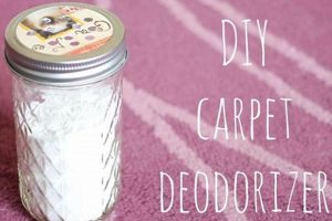 Easy DIY Carpet Deodorizer: Fresh Scent, Low Cost The DIY Hub: Creative Crafts, Repairs & Life Hacks Easy DIY Carpet Deodorizer: Fresh Scent, Low Cost | The DIY Hub: Creative Crafts, Repairs & Life Hacks