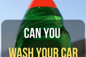 Ultimate DIY Car Wash Guide: Tips & Tricks! The DIY Hub: Creative Crafts, Repairs & Life Hacks Ultimate DIY Car Wash Guide: Tips & Tricks! | The DIY Hub: Creative Crafts, Repairs & Life Hacks