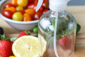 Easy DIY Vegetable Wash Recipe: Natural & Clean! The DIY Hub: Creative Crafts, Repairs & Life Hacks Easy DIY Vegetable Wash Recipe: Natural & Clean! | The DIY Hub: Creative Crafts, Repairs & Life Hacks
