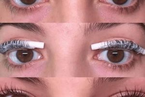 Easy DIY Lash Lift at Home: Get Salon Results! The DIY Hub: Creative Crafts, Repairs & Life Hacks Easy DIY Lash Lift at Home: Get Salon Results! | The DIY Hub: Creative Crafts, Repairs & Life Hacks