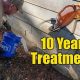 Easy DIY Termite Treatment Guide: Protect Your Home! | The DIY Hub: Creative Crafts, Repairs & Life Hacks