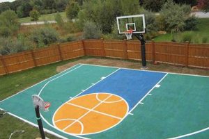 Build Your Own: DIY Basketball Court Project Ideas The DIY Hub: Creative Crafts, Repairs & Life Hacks Build Your Own: DIY Basketball Court Project Ideas | The DIY Hub: Creative Crafts, Repairs & Life Hacks