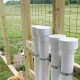 Build a Better DIY Hen Feeder: Plans & Ideas | The DIY Hub: Creative Crafts, Repairs & Life Hacks