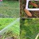Build Your Own DIY Sprinkler System: Easy DIY Guide | The DIY Hub: Creative Crafts, Repairs & Life Hacks