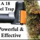 DIY Pest Control: A-18 Squirrel Eliminator Plans & Tips | The DIY Hub: Creative Crafts, Repairs & Life Hacks