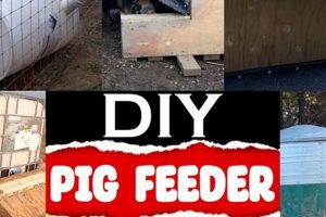 Easy DIY Hog Feeder Plans + Cost Savings! The DIY Hub: Creative Crafts, Repairs & Life Hacks Easy DIY Hog Feeder Plans + Cost Savings! | The DIY Hub: Creative Crafts, Repairs & Life Hacks
