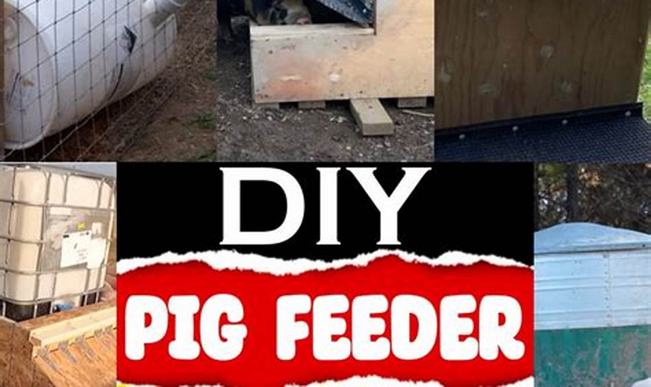 Easy DIY Hog Feeder Plans + Cost Savings! The DIY Hub: Creative Crafts, Repairs & Life Hacks Easy DIY Hog Feeder Plans + Cost Savings! | The DIY Hub: Creative Crafts, Repairs & Life Hacks