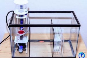 DIY 10 Gallon Sump: Acrylic Sheet Guide + Tips The DIY Hub: Creative Crafts, Repairs & Life Hacks DIY 10 Gallon Sump: Acrylic Sheet Guide + Tips | The DIY Hub: Creative Crafts, Repairs & Life Hacks