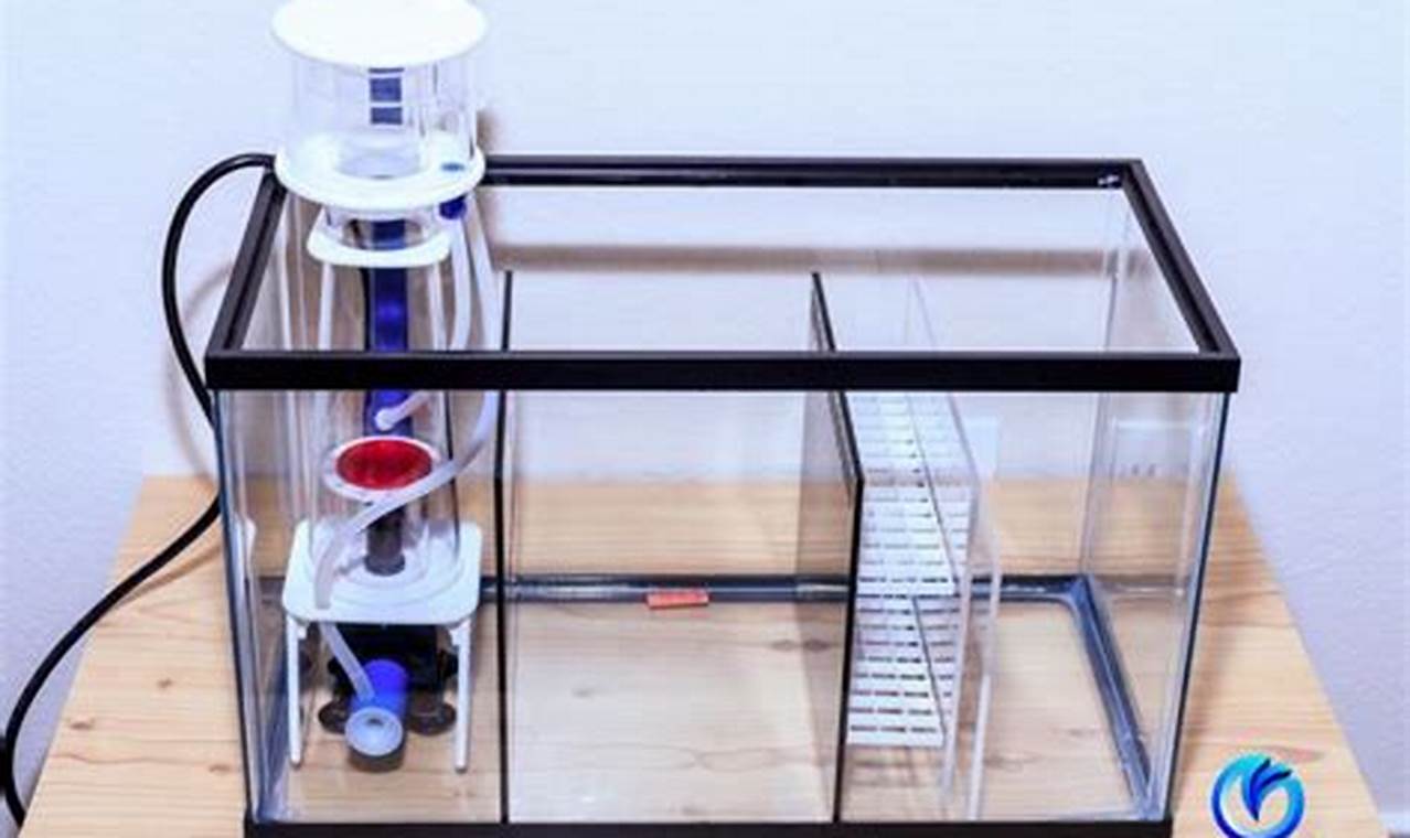 DIY 10 Gallon Sump: Acrylic Sheet Guide + Tips The DIY Hub: Creative Crafts, Repairs & Life Hacks DIY 10 Gallon Sump: Acrylic Sheet Guide + Tips | The DIY Hub: Creative Crafts, Repairs & Life Hacks